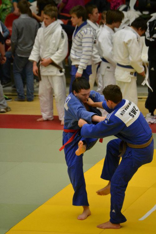 2012 judo.jpg